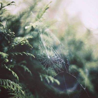 bat365官网登录入口下载手机版